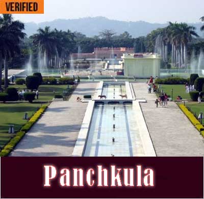Panchkula Escorts Agency